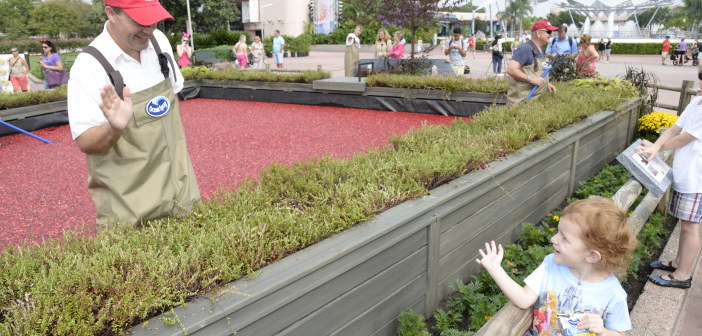 Bog with a Blog, and other EPCOT Food and Wine Fun