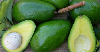 Fall in Love with the Florida Avocado