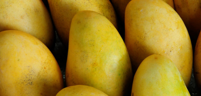 mangoes