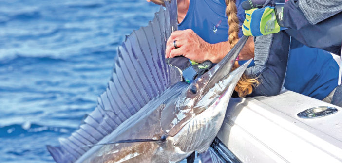 Recreational Fishing in Florida
