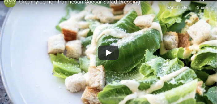 easy salad dressing