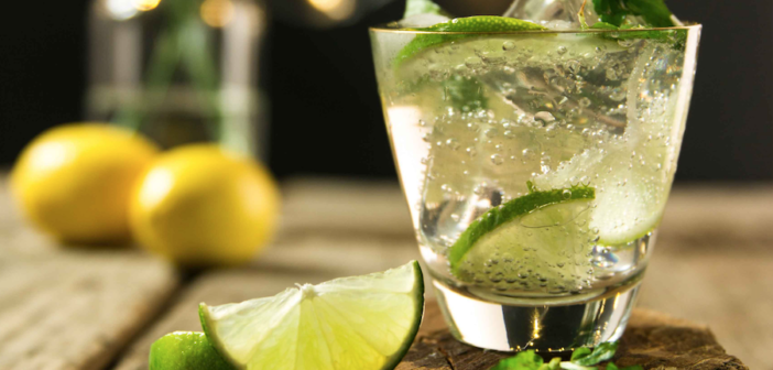 peruvian mule