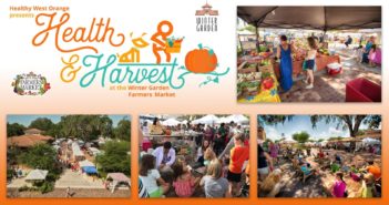 Health & Harvest Festival Winter Garden