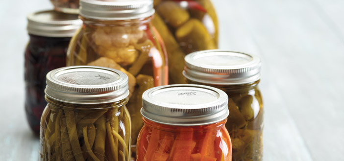 Fermenting Culture