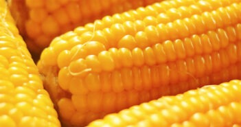 Fun Food Events May 11-24